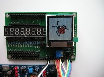 Ǽʵʾ˲Ƭ-2