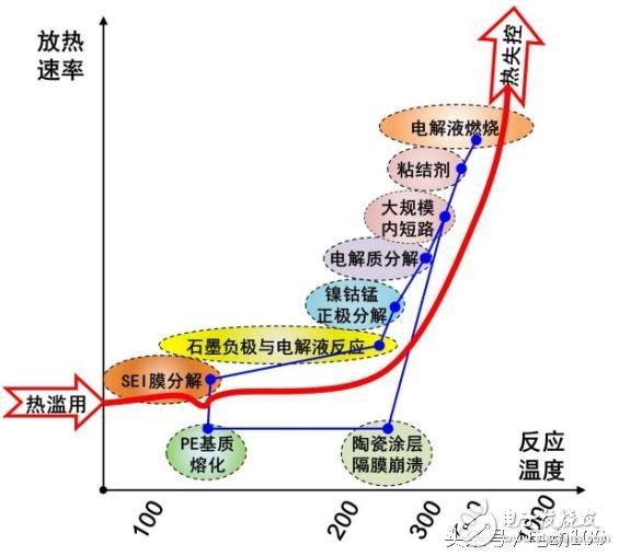 5 綯ȫר