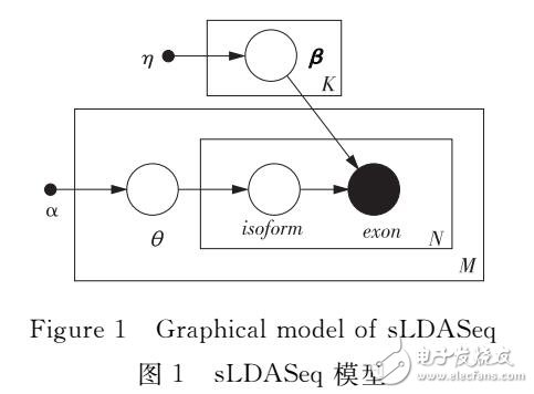 RNA-Seq칹ⷽ