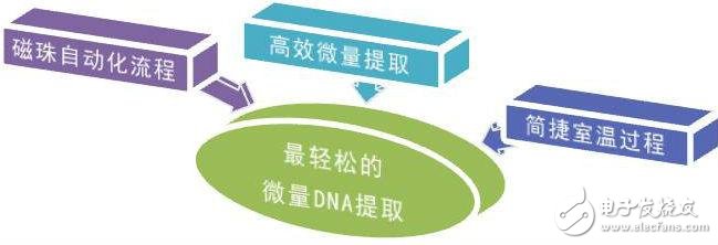 ʲô_鷨ȡDNA