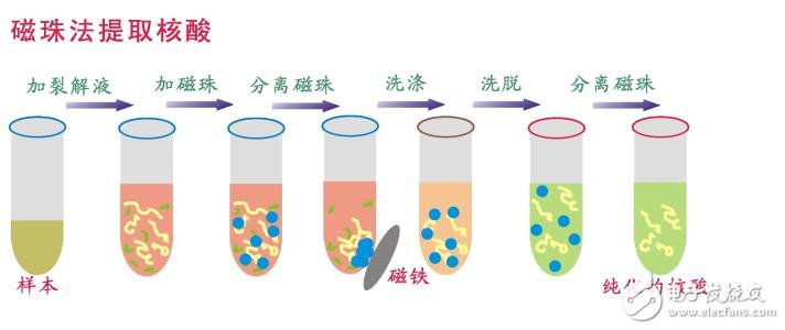ʲô_鷨ȡDNA
